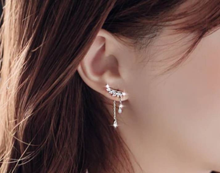 925 Silver Hanging Leaf CZ  Earrings