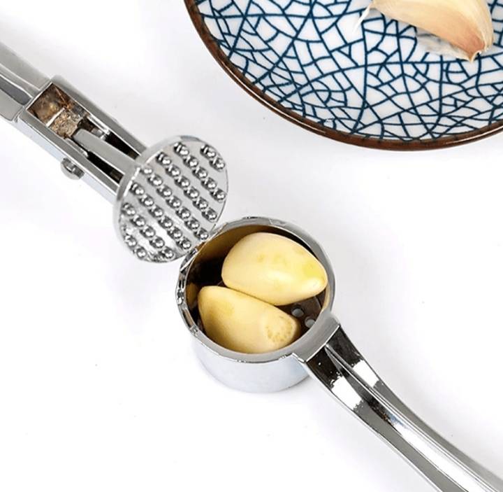 Stainless Steel Garlic Press