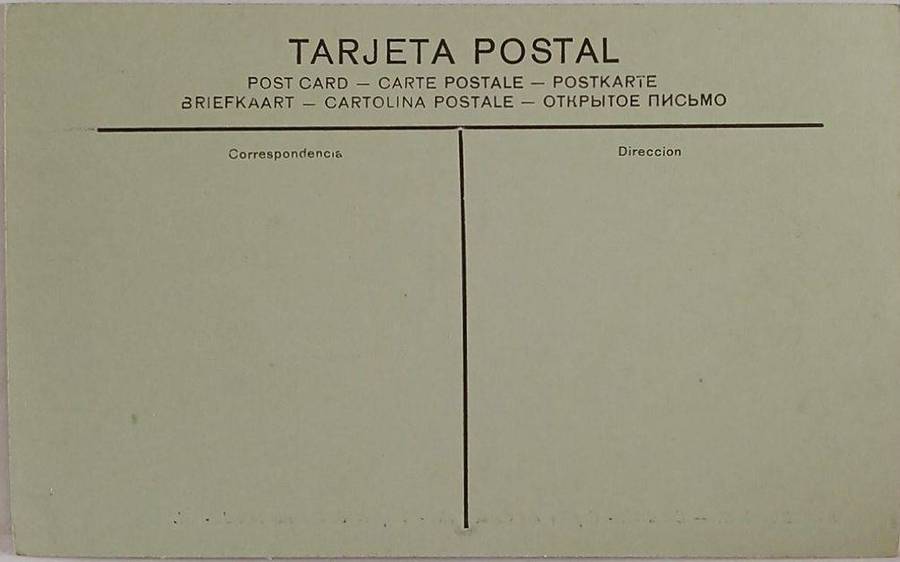 Mint postcard Burgos Catedral