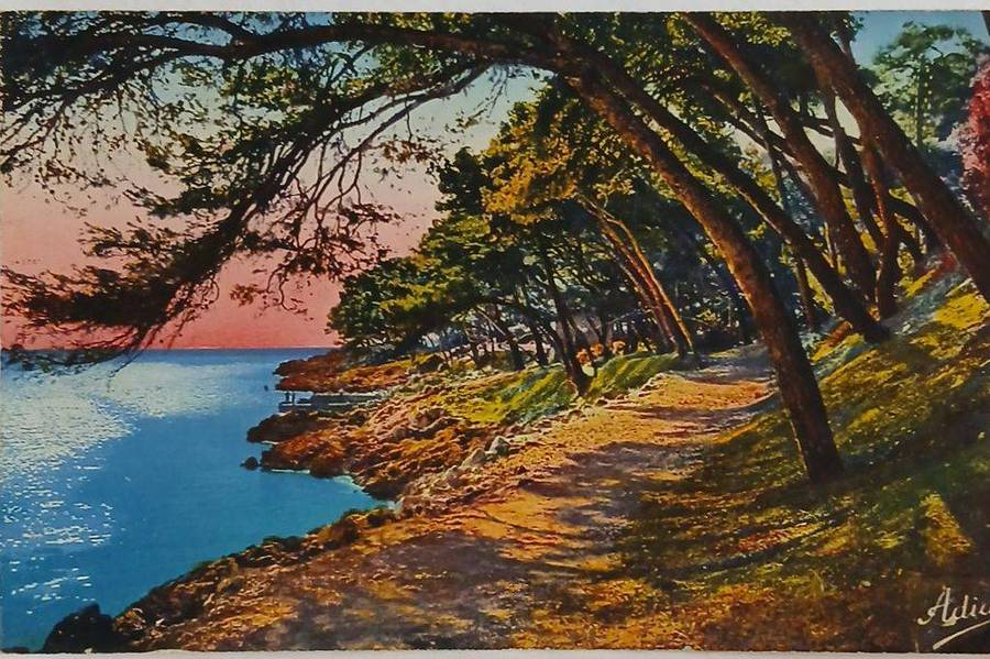 Beautiful vintage colour landscape postcard