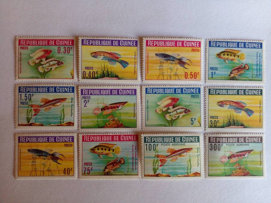 Guinea 1964 Aquarium Fish