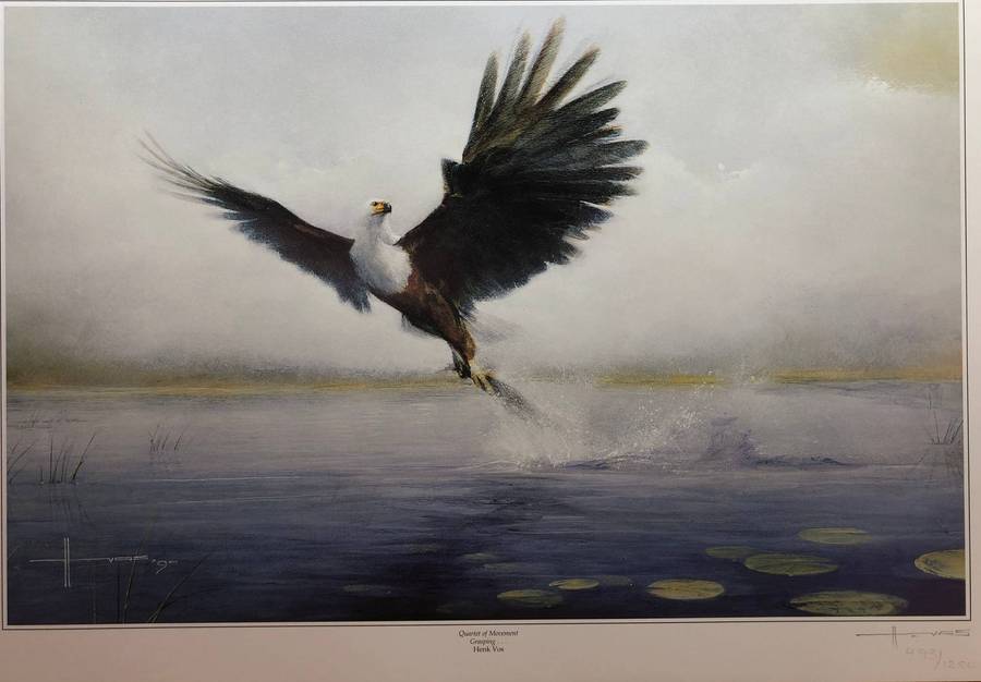 Henk Vos (SA 1946) Limited signed and numbered edition 493 / 1250 - titled