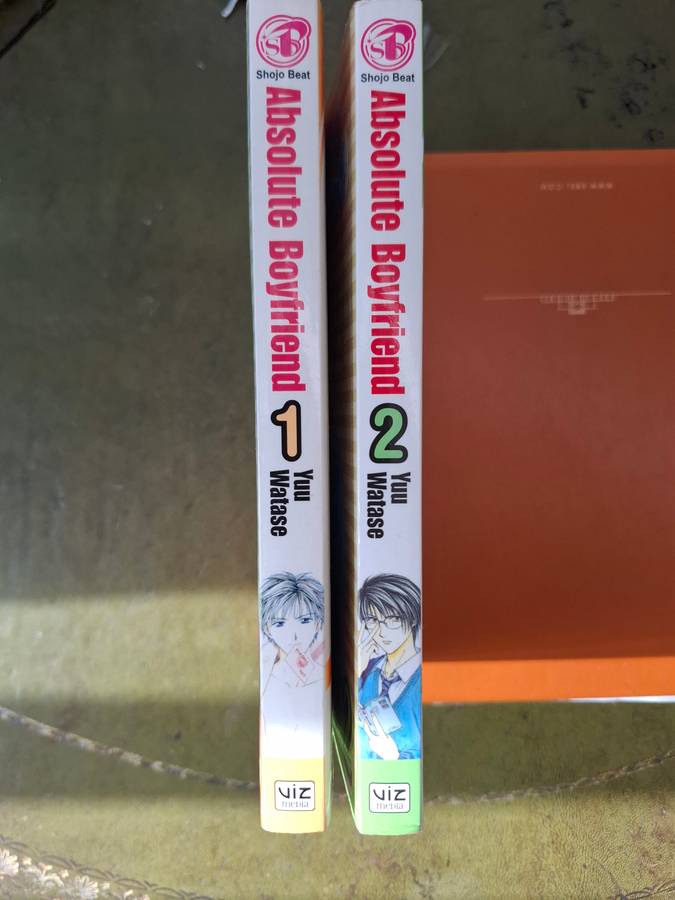 Absolute Boyfriend Manga