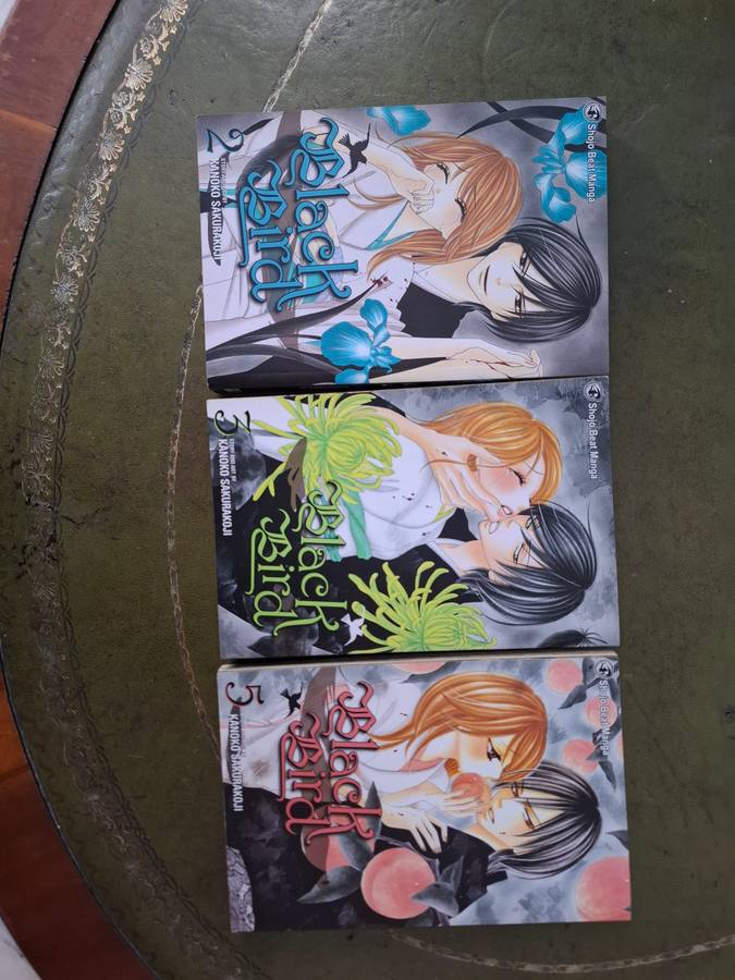 black bird Manga