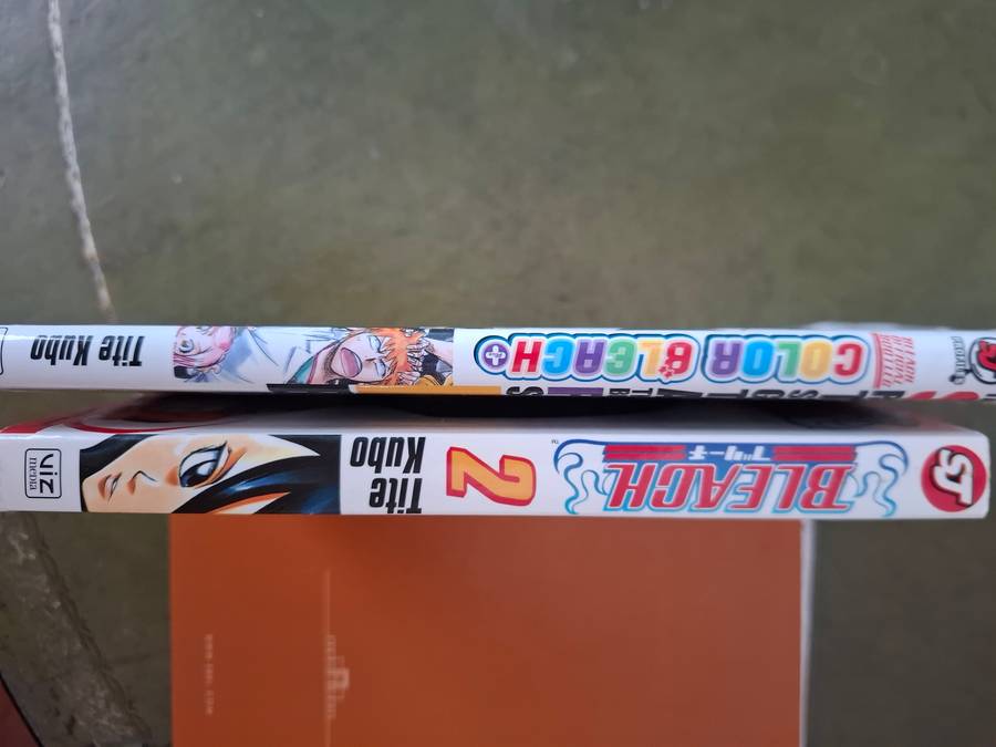 Bleach manga