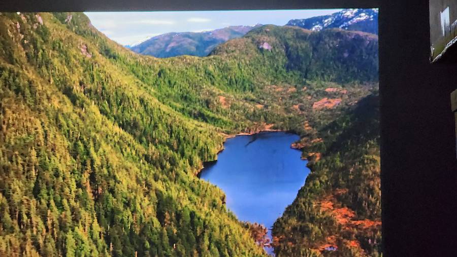 Acer PD523 XGA DLP Projector (2400 Lumens)