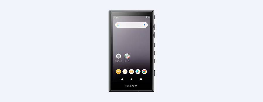 Sony Walkman NW-A100 Series  16GB