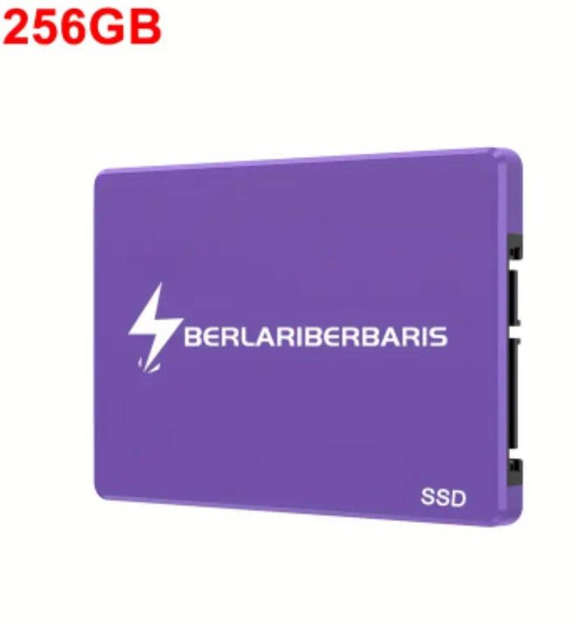 256GB Sata3 6GB/s 2.5" SSD