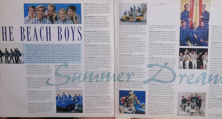 The Beach Boys, Summer Dreams, Double album, vinyl's.