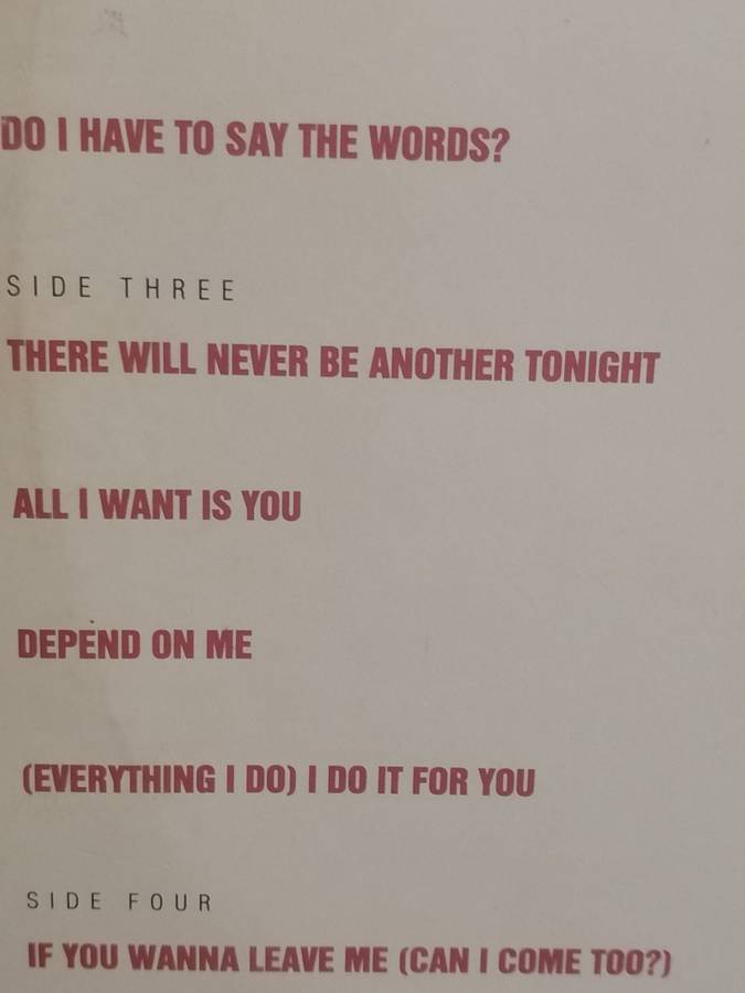 Bryan Adams, waking up the neighbours, double album, vinyl's excellent.