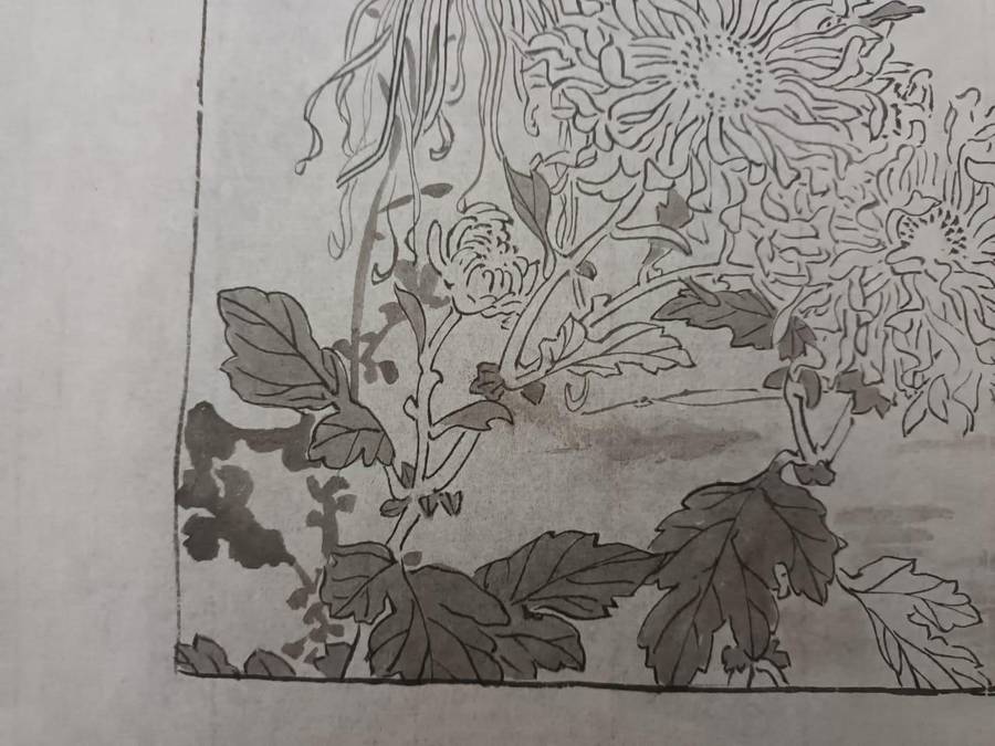 Original shita-e (Japanese: preliminary drawing) from the workshop of Kōno Bairei, c.1890