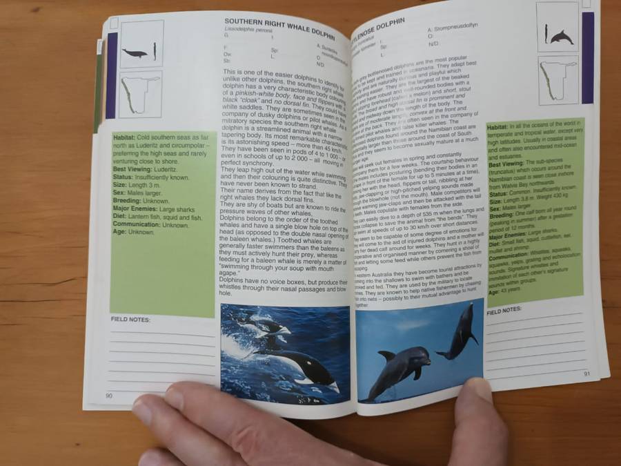 A Field Guide to the Mammals of Namibia