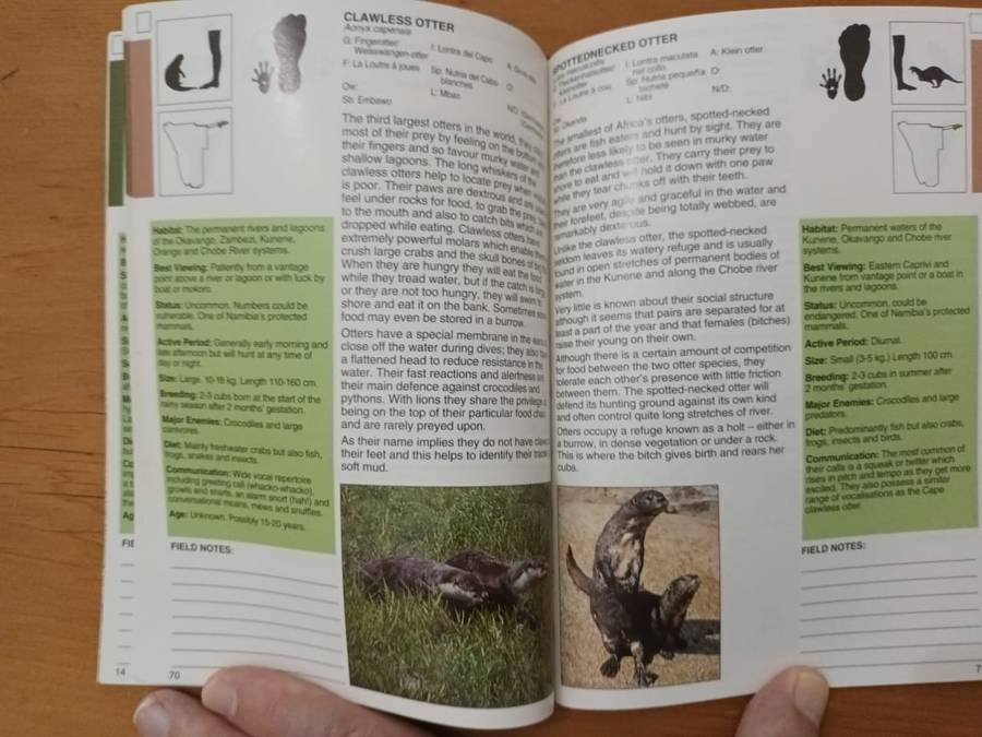 A Field Guide to the Mammals of Namibia