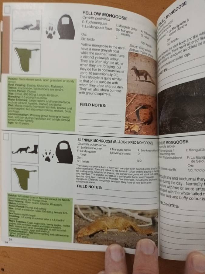 A Field Guide to the Mammals of Namibia