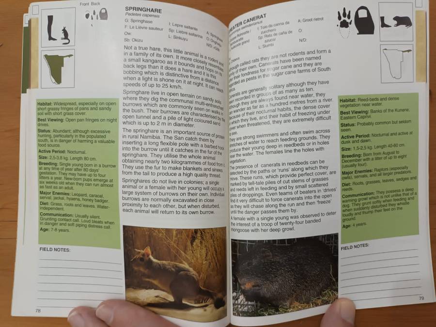 A Field Guide to the Mammals of Namibia