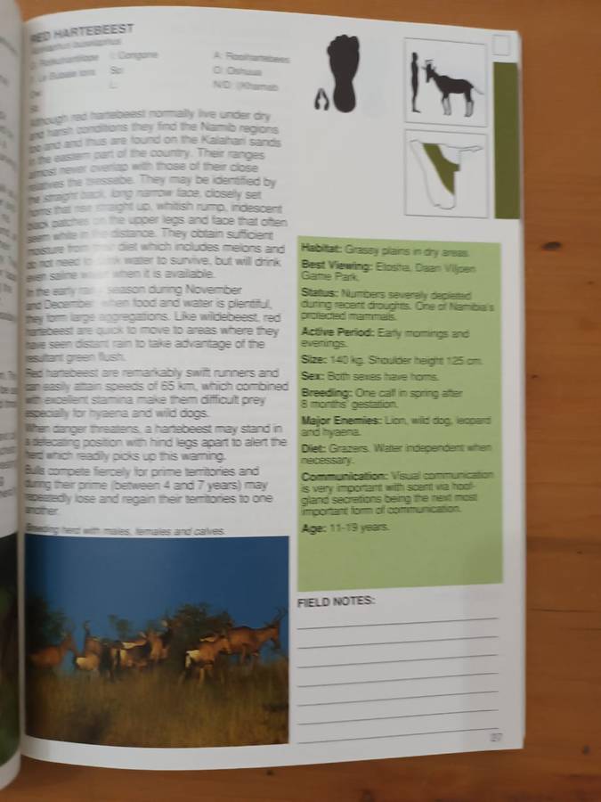 A Field Guide to the Mammals of Namibia