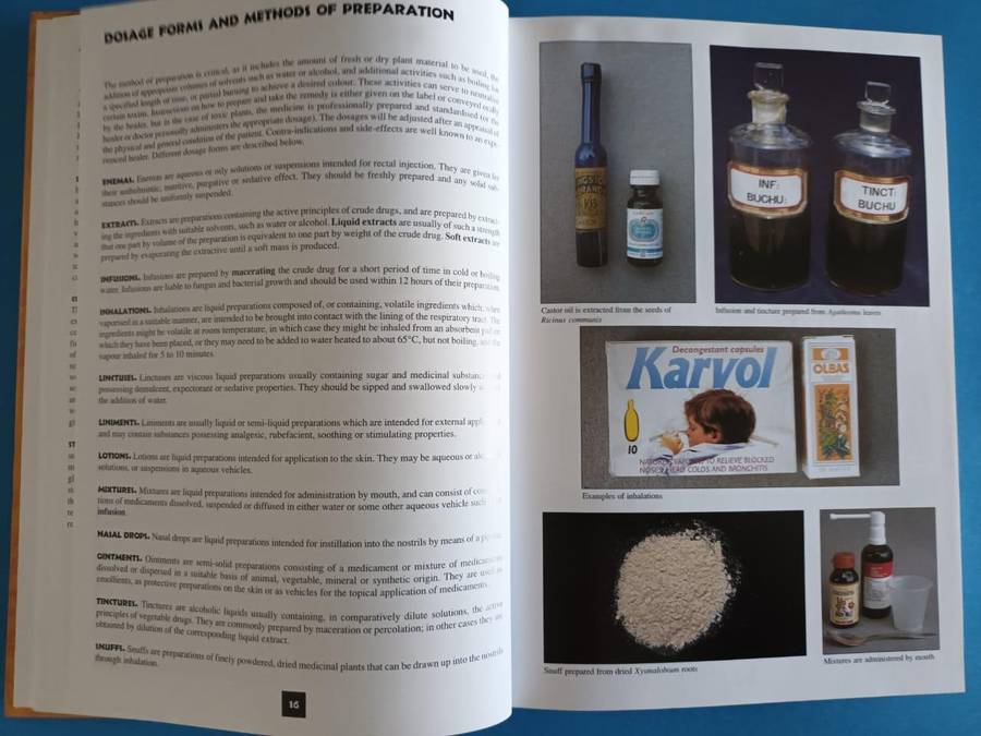 Medicinal Plants of South Africa