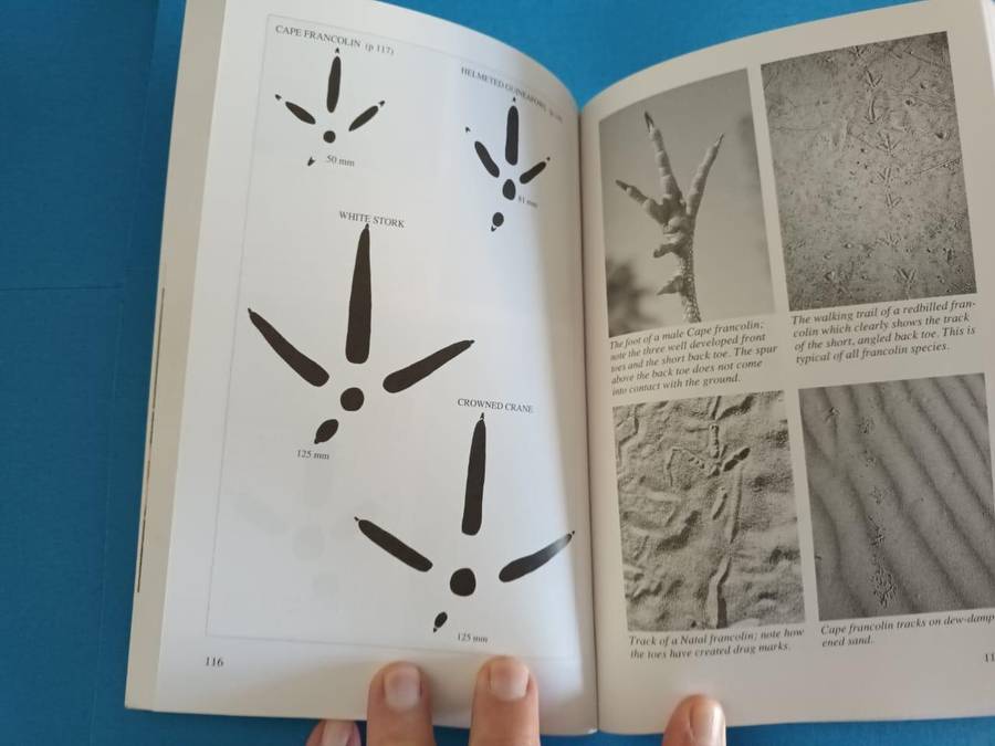 A Field Guide to the Tracks & Signs of Southern and East African Wildlife