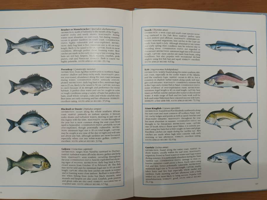 Everyone's Guide to the Sea Fishes of Southern Africa