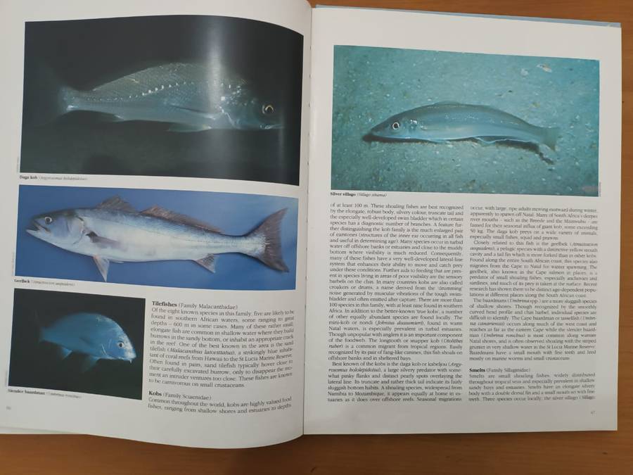 Everyone's Guide to the Sea Fishes of Southern Africa