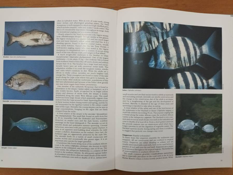 Everyone's Guide to the Sea Fishes of Southern Africa