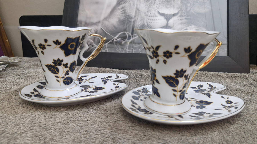 Set of 2 Vintage Czechoslavia Cup and Saucer