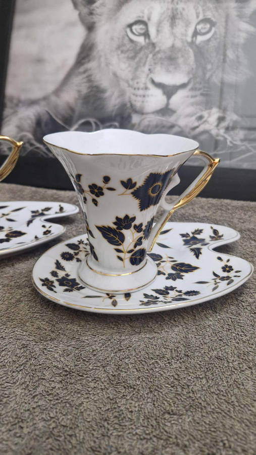 Set of 2 Vintage Czechoslavia Cup and Saucer