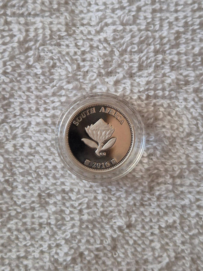2016 South African 1oz Proof R2 coin - Dolos & 2½cents Tickey combo