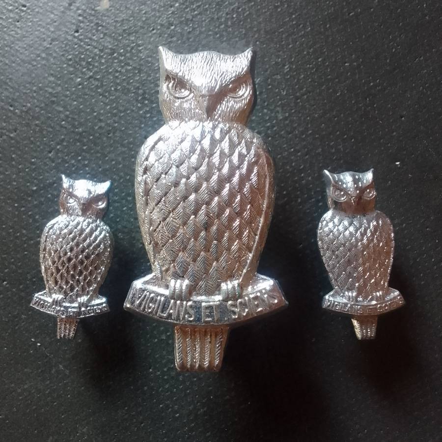 Military Intelligence Corps Cap and Collar badges