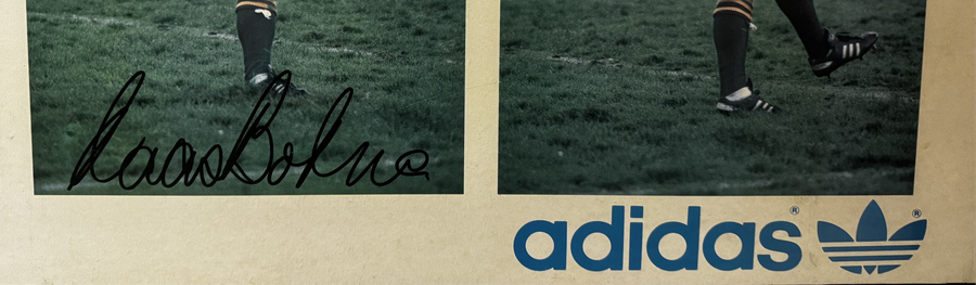 Naas Botha Signed Blocked Frame