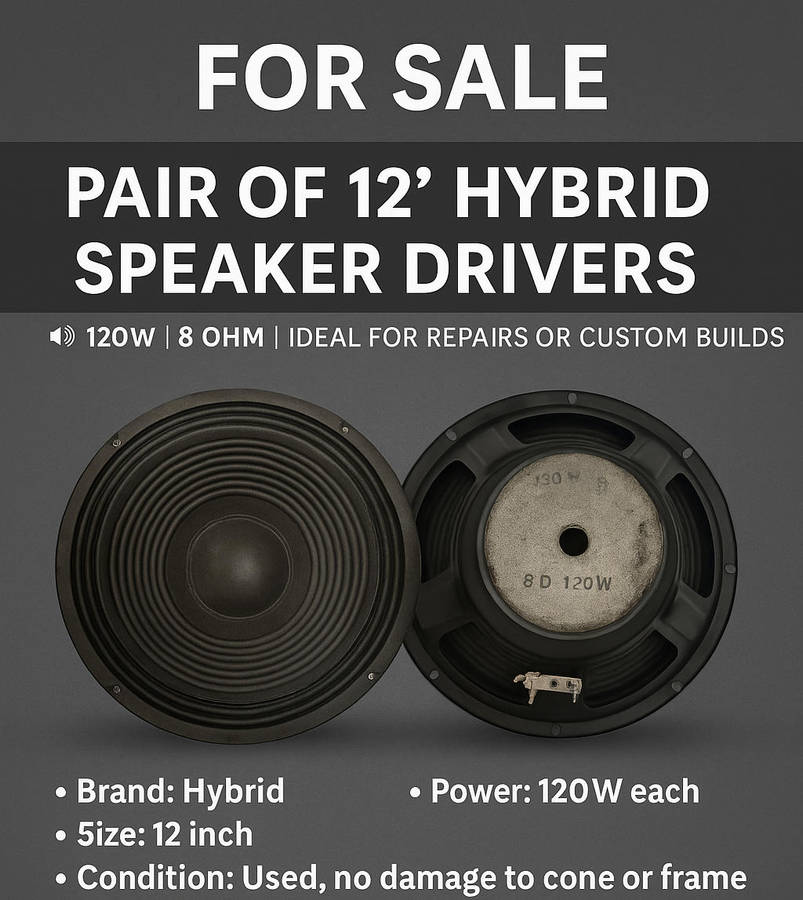 FOR SALE: Pair of 12 Hybrid Speaker Drivers (Loose Units)