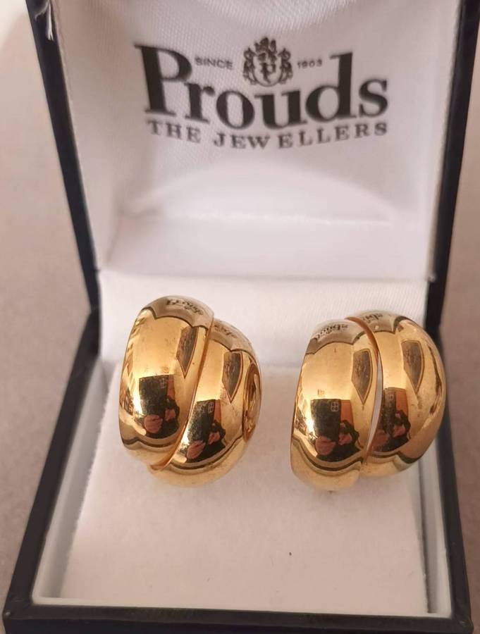 Stunning Gold-Plated Earrings.