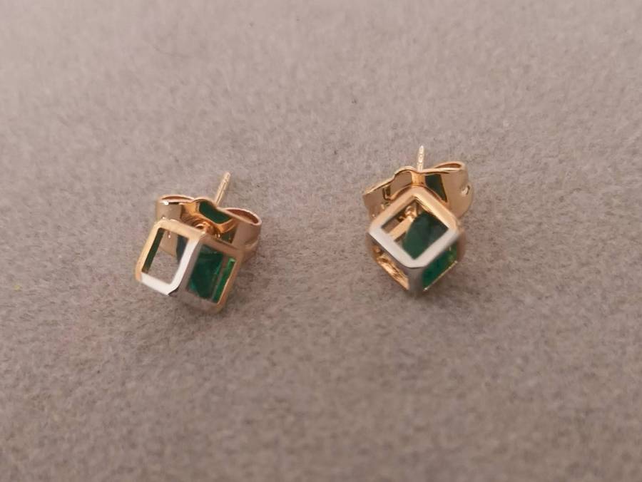Plated 2 Tone Fashion Earrings.