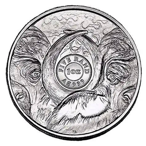 Big Five S1 Silver Brilliant Uncirculated Buffalo