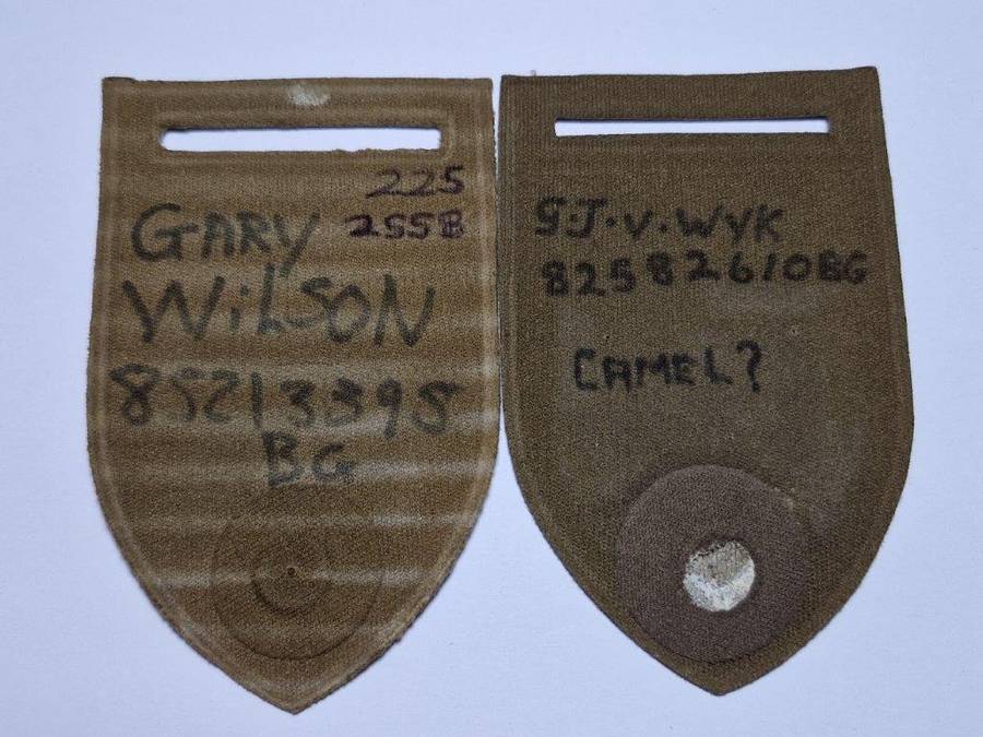SADF 2 SSB tupperware shoulder flash pair. No Pins