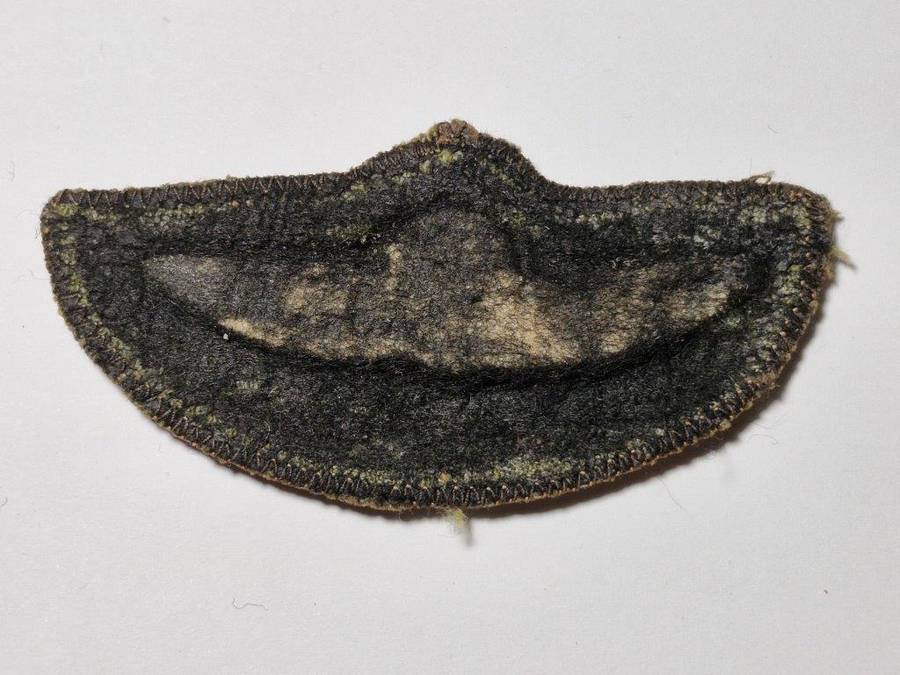 Rhodesian SAS Parachute Wings