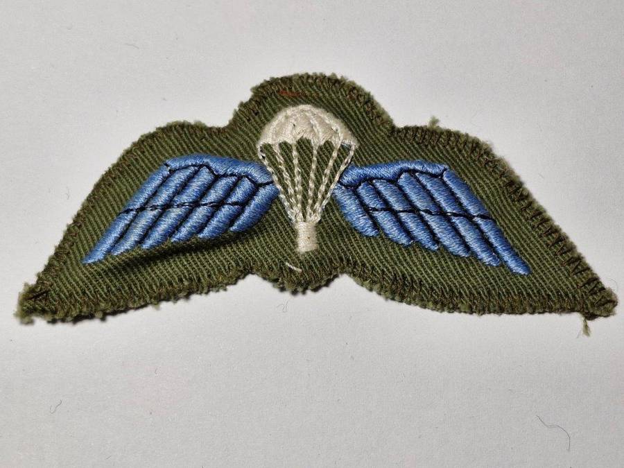 Rhodesian basic Parachute Wings. Possible copy?