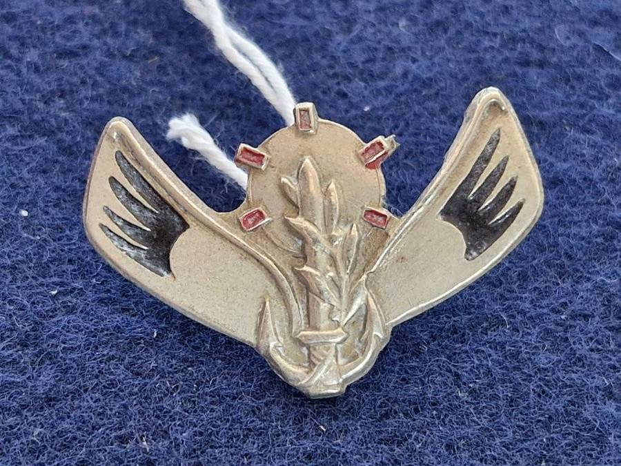 Israeli Port Security Unit diver badge small