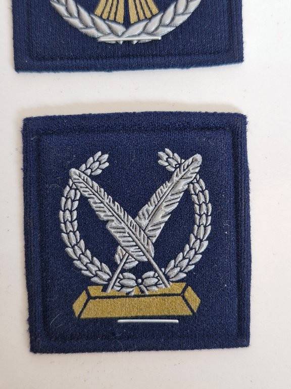 South African Air Force Finances proficiency breast badge