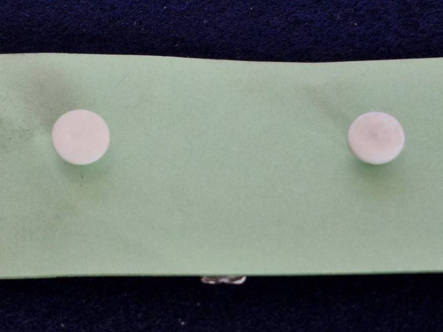 SADF Recce Prototype Parachute wing