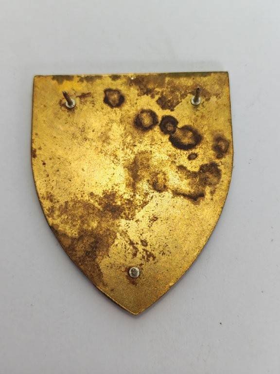 SADF Regiment Northern Transvaal Shoulder flash. Pins Intact.