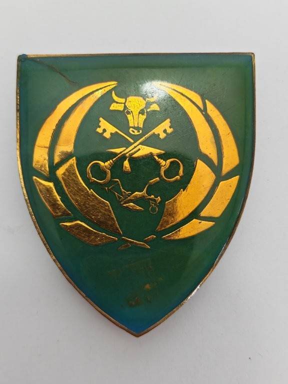 SADF Unknown Shoulder flash, possibly 10 SAI? Pins Intact.