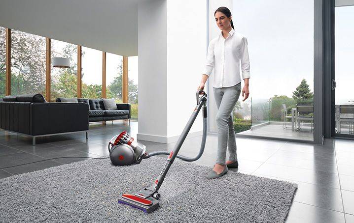 Dyson Cinetic Big Ball Animal Pro 2
