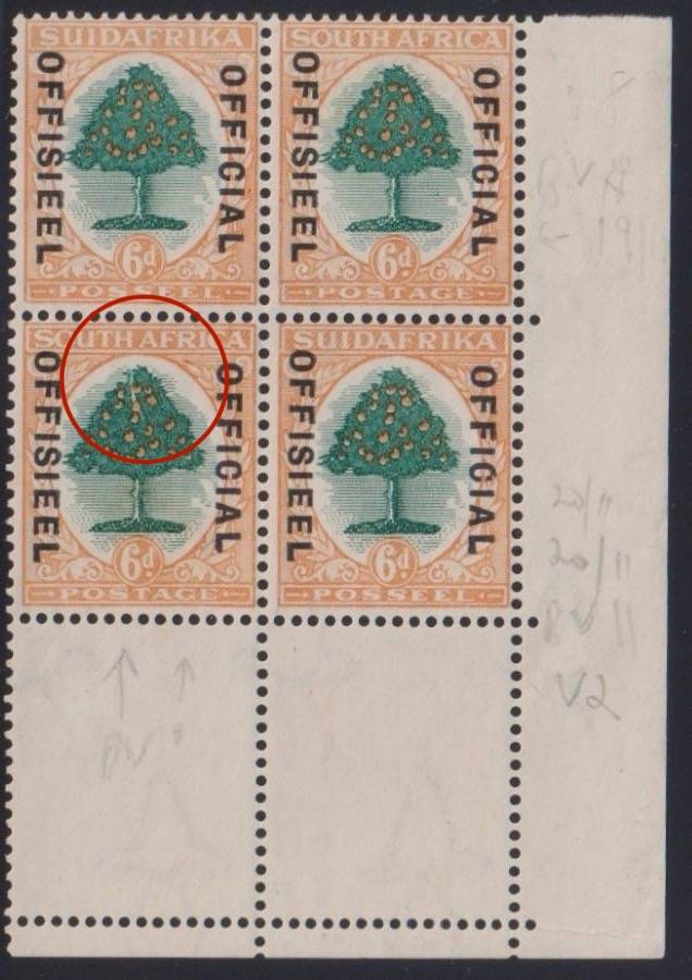 SA 1930 6d OFFICIAL "SPLIT TREE" VARIETY - RARE - MINT
