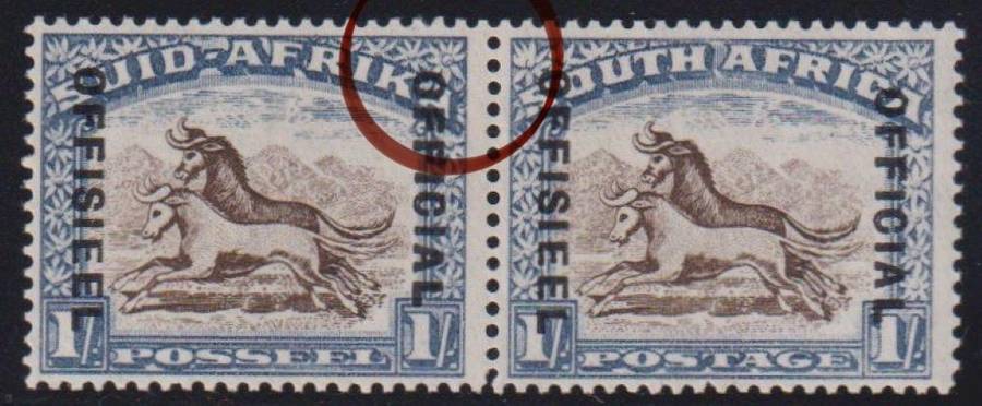SA 1935 1/- "RAISED OFFICIAL" UNMOUNTED SACC O31c  CV R1800