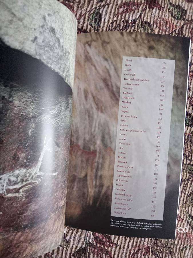 Bushman Rock Art -  Tim Forssman, Lee Gutteridge