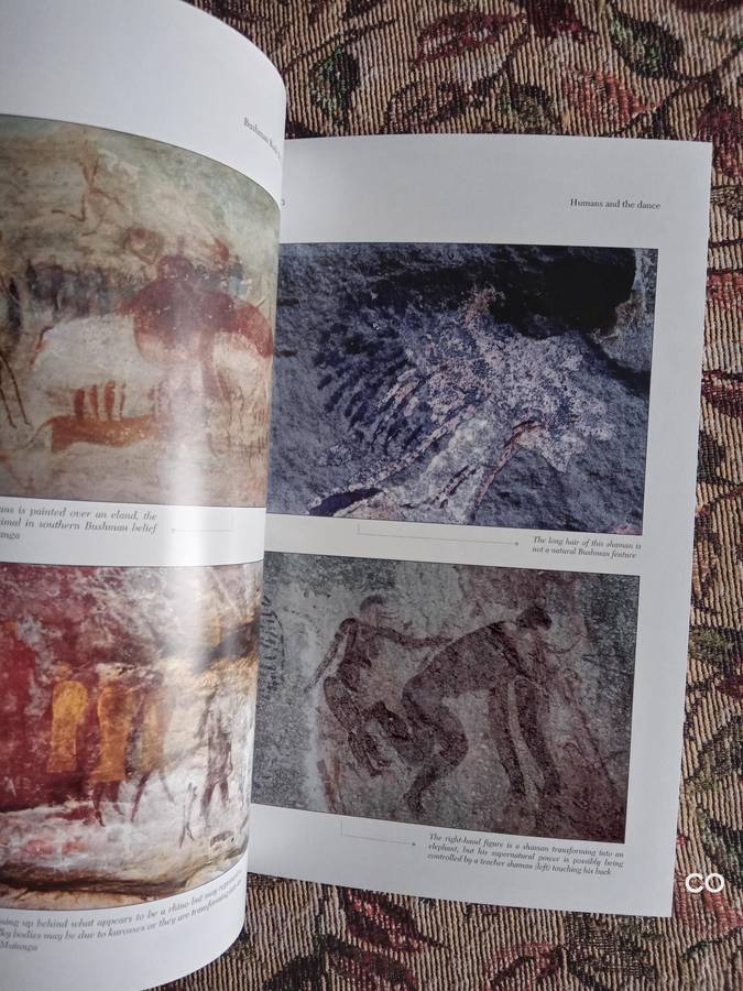 Bushman Rock Art -  Tim Forssman, Lee Gutteridge