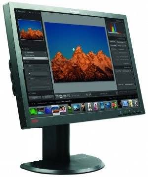 Lenovo ThinkVision 24" Full HD+ Monitor with 4 x USB Ports