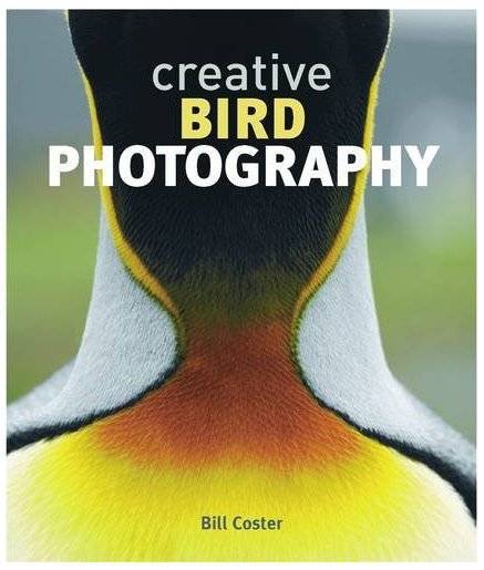 Creative Bird Photography Hardcover Book