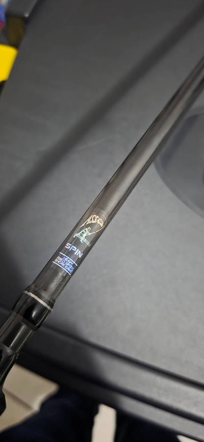 ASSASSIN SPIN ROD
